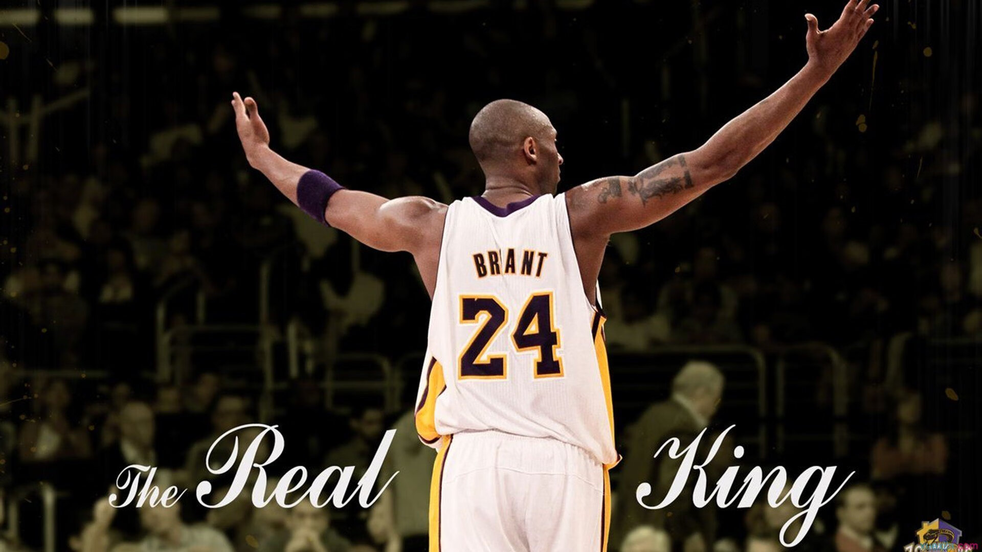 中小学篮球开展篮球文化宣传普及运动知识，篮球宣传活动